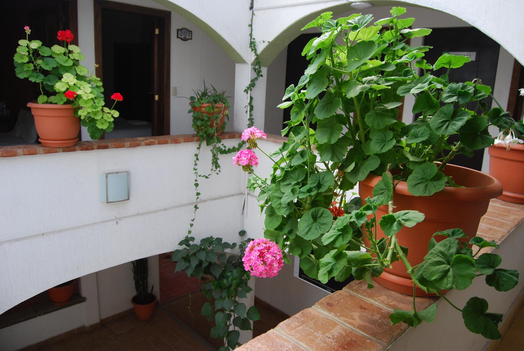 Jardines De Luz Hotel San Cristobal de las Casas Luaran gambar